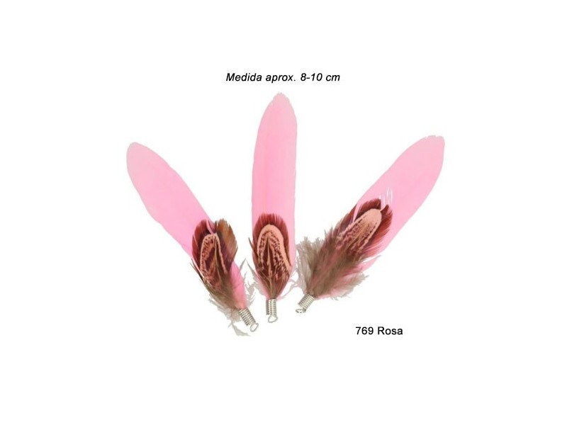 PLUMAS FAISAN Y GANSO 79539 (Bolsa 25 uds)