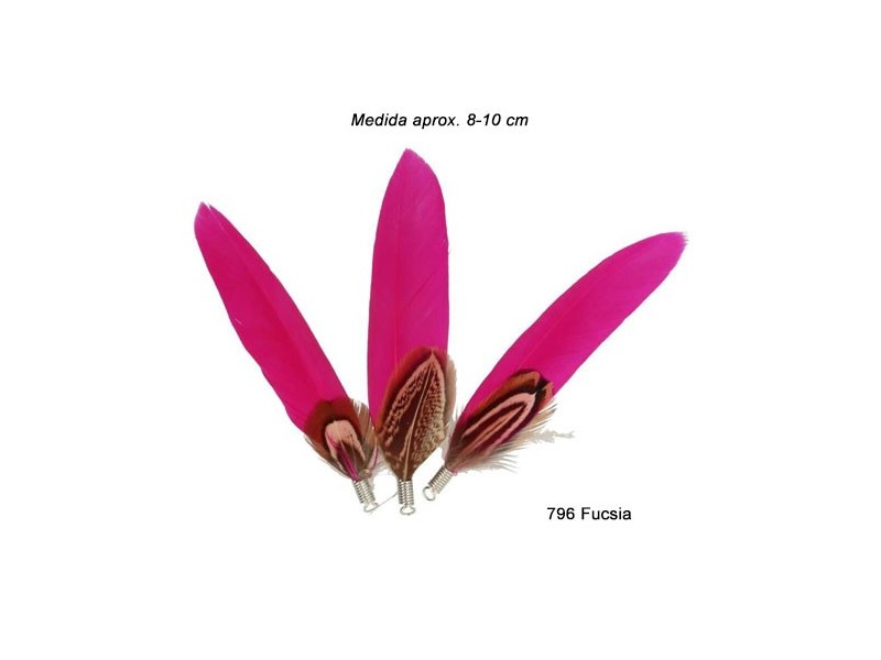 PLUMAS FAISAN Y GANSO 79538 (Bolsa 25 uds)