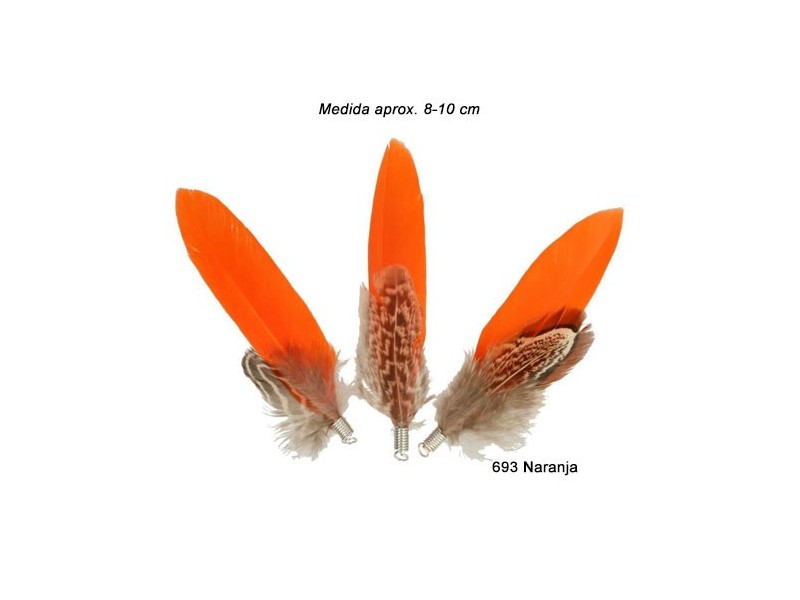 PLUMAS FAISAN Y GANSO 79544 (Bolsa 25 uds)