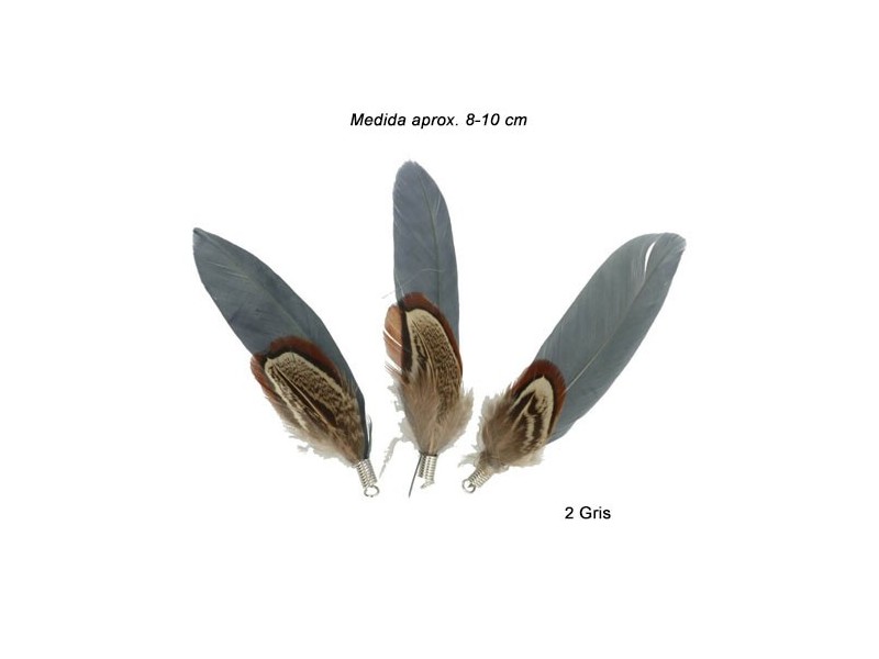 PLUMAS FAISAN Y GANSO 79532 (Bolsa 25 uds)