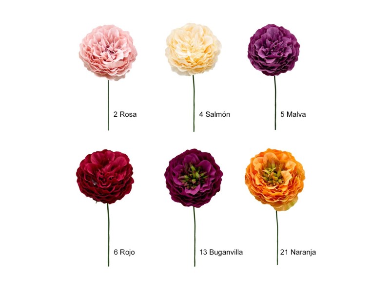 FLOR FLAMENCA 212071