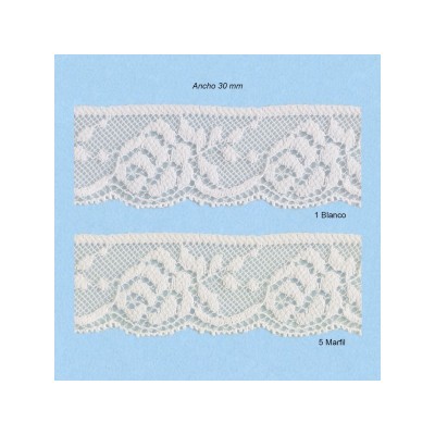 ENCAJE NYLON 1407661 (Metros)