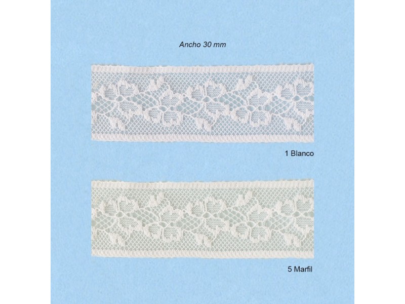 ENCAJE NYLON 1407644 (Metros)