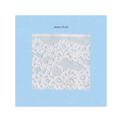 ENCAJE NYLON 1408760 (Metros)